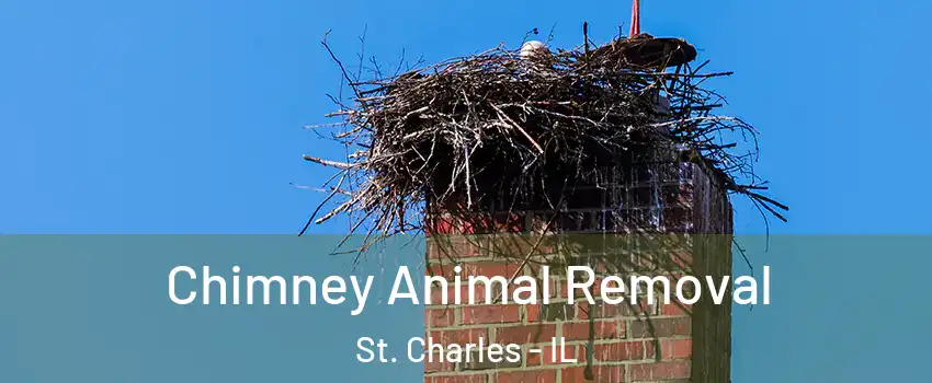 Chimney Animal Removal St. Charles - IL