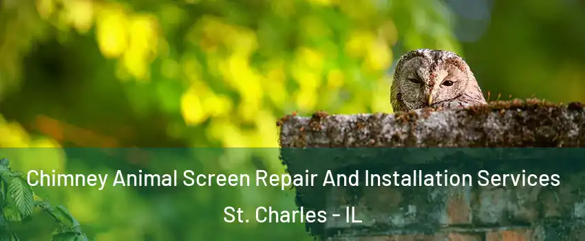  Chimney Animal Screen Repair And Installation Services St. Charles - IL