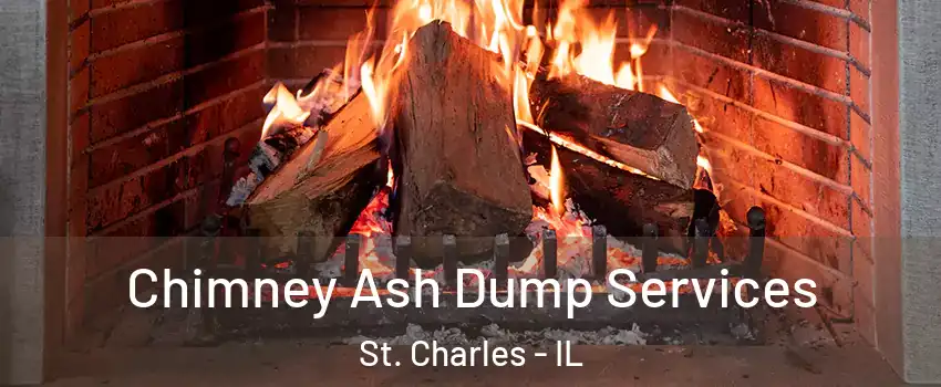  Chimney Ash Dump Services St. Charles - IL