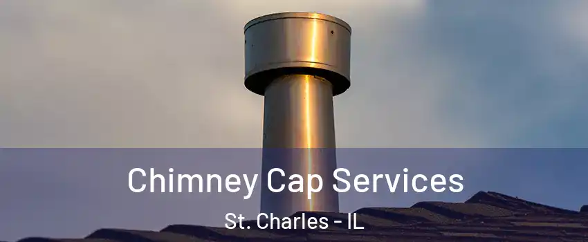  Chimney Cap Services St. Charles - IL