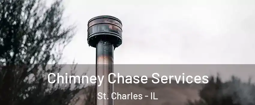  Chimney Chase Services St. Charles - IL