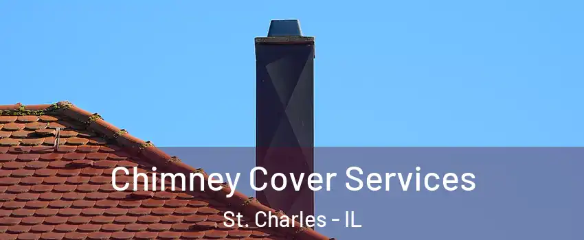  Chimney Cover Services St. Charles - IL
