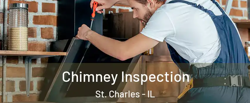  Chimney Inspection St. Charles - IL