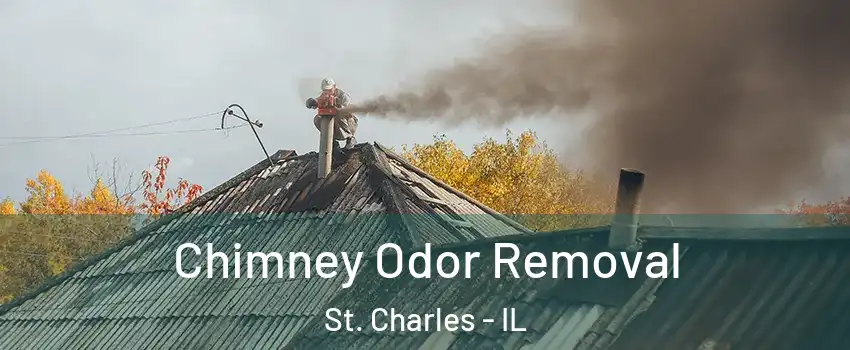  Chimney Odor Removal St. Charles - IL