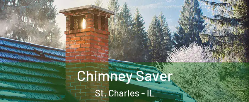  Chimney Saver St. Charles - IL