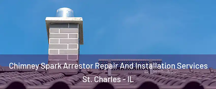  Chimney Spark Arrestor Repair And Installation Services St. Charles - IL