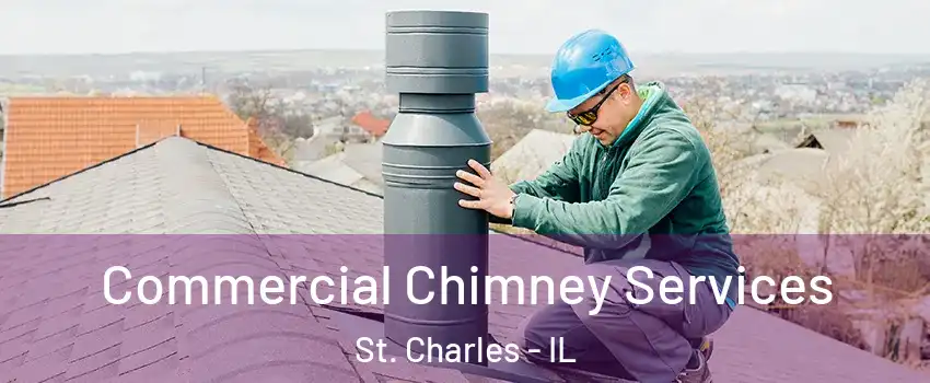  Commercial Chimney Services St. Charles - IL