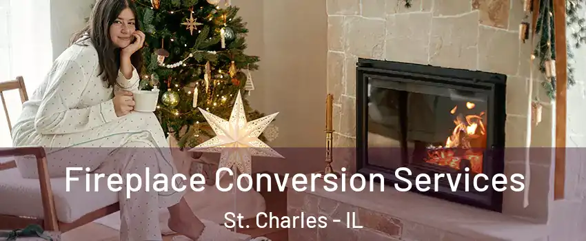  Fireplace Conversion Services St. Charles - IL