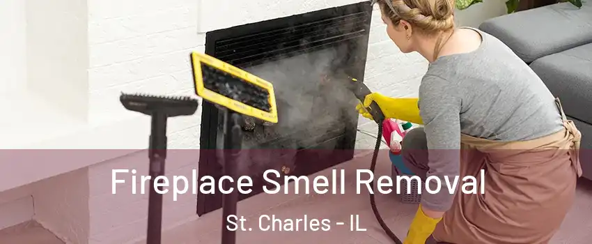 Fireplace Smell Removal St. Charles - IL