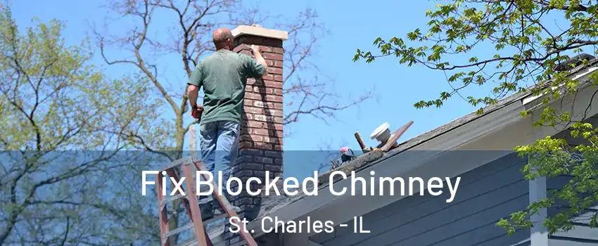  Fix Blocked Chimney St. Charles - IL