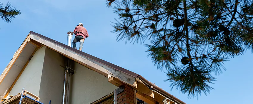 Birds Removal Contractors from Chimney in St. Charles, IL