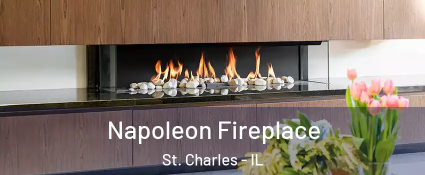  Napoleon Fireplace St. Charles - IL